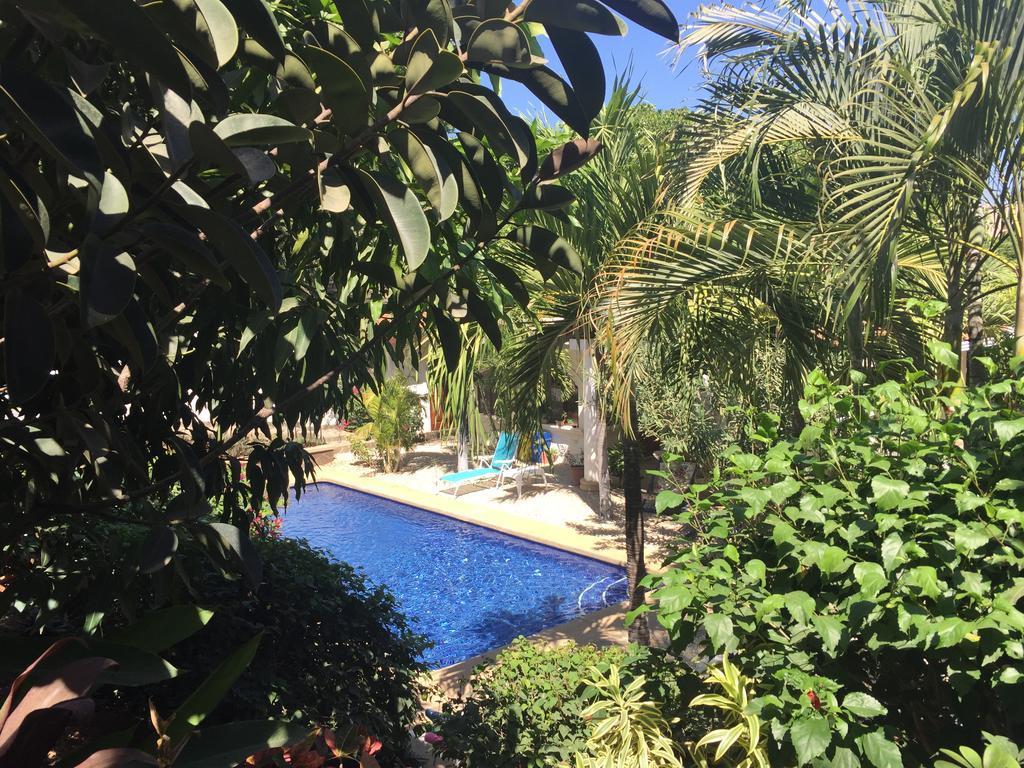 Hotel Flores (Adults Only) Tamarindo Bagian luar foto