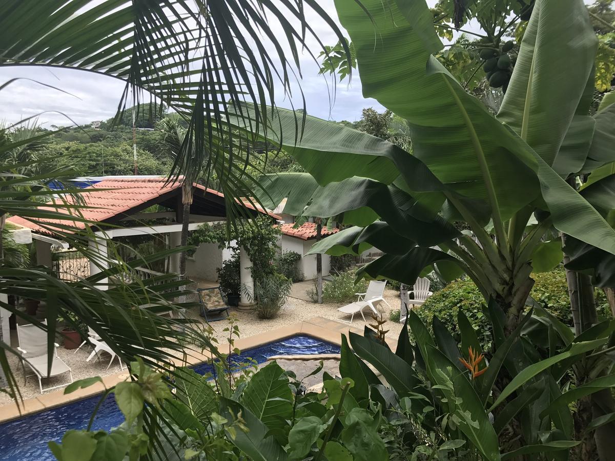 Hotel Flores (Adults Only) Tamarindo Bagian luar foto