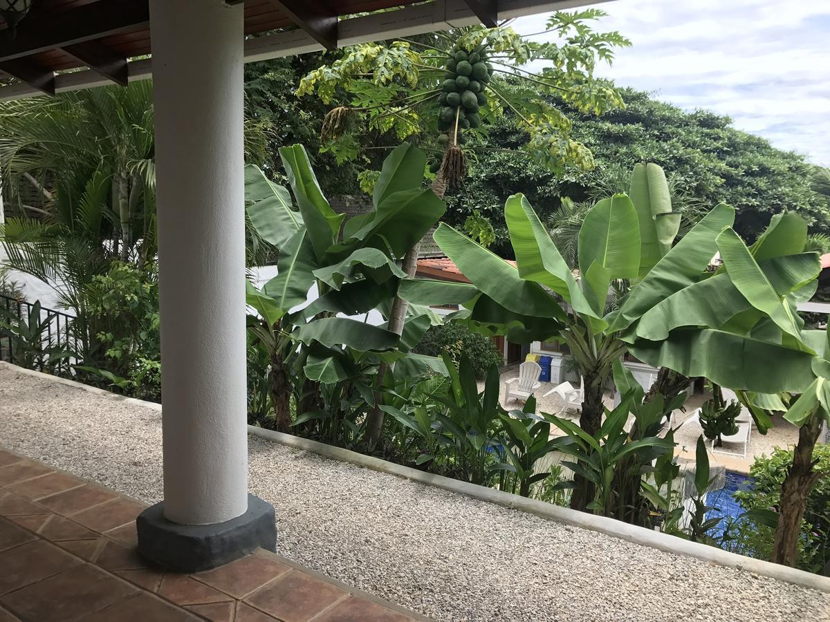 Hotel Flores (Adults Only) Tamarindo Bagian luar foto
